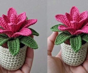 Te enseñare a tejer bellas flores a crochet