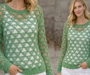 Aprende a tejer hermosa blusa con mangas