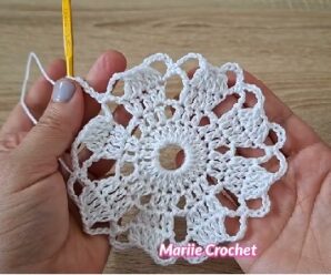 Como tejer un lindo circulo de crochet